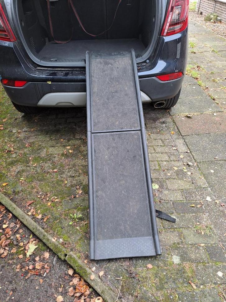 Loopplank uitklapbaar voor honden, Dieren en Toebehoren, Honden-accessoires, Gebruikt, Ophalen