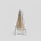 Bicolor Seleniet Montalban/Spanje, Ophalen of Verzenden, Nieuw