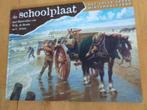 De Schoolplaat - Nederland in Woord en Beeld II, Boeken, Overige Boeken, Zo goed als nieuw, Verzenden