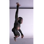 Hanging Monkey – Aap Hoogte 94 cm, Verzamelen, Dierenverzamelingen, Nieuw, Ophalen