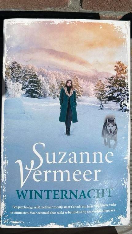10 X Suzanne Vermeer gebruikt/gelezen, Boeken, Historische romans, Gelezen, Ophalen of Verzenden