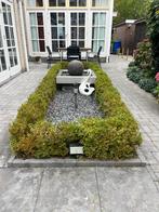 Fontein, Ophalen, Gebruikt, Beton, Fontein