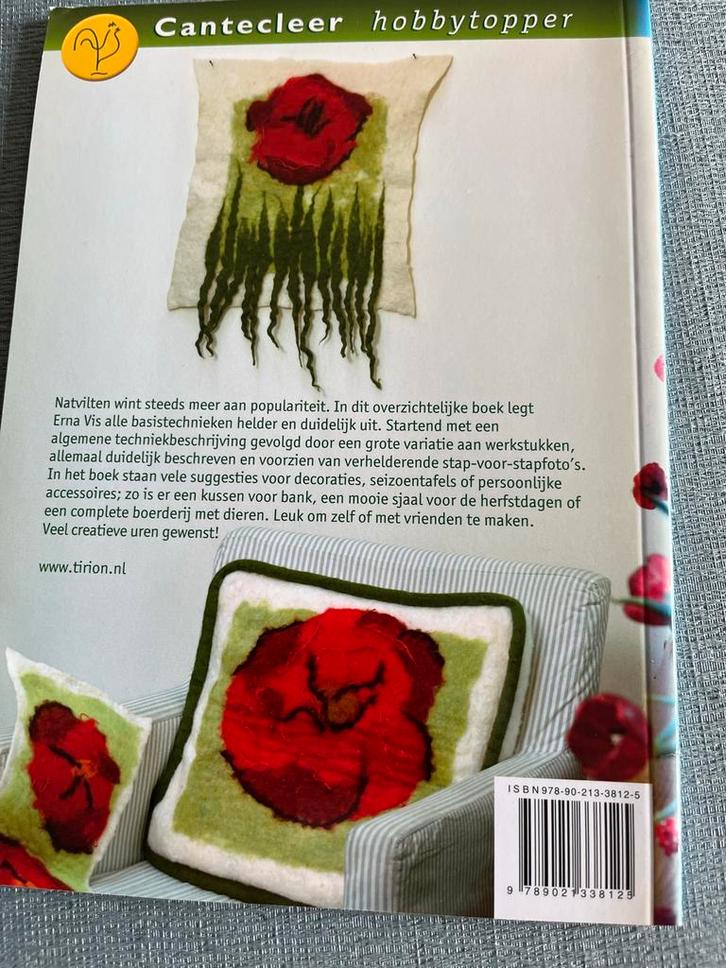 Vorm en kleur met vilt - Natvilttechniek, Boeken, Hobby en Vrije tijd, Zo goed als nieuw, Borduren en Naaien, Ophalen of Verzenden