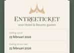 2x entreeticket Efteling woensdag 25-02-2026, Tickets en Kaartjes, Recreatie | Pretparken en Attractieparken, Twee personen, Ticket of Toegangskaart