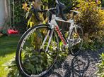 Sensa trentino maat 52 carbon voorvork, 28 inch, 49 tot 53 cm, Zo goed als nieuw, Meer dan 20 versnellingen