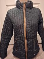 Laura garelli jas m, Laura garelli, Laura garelli. com, Dressuur, Ophalen of Verzenden