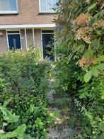 Lichte tuin/terras/snoei werkzaamheden, Tuinonderhoud of Snoeiwerk