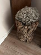 Oude vijzel, Huis en Inrichting, Woonaccessoires | Zuilen en Pilaren, Ophalen, Zo goed als nieuw