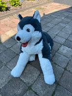 Grote huskey knuffel siberische hond, Ophalen of Verzenden, Nieuw, Hond