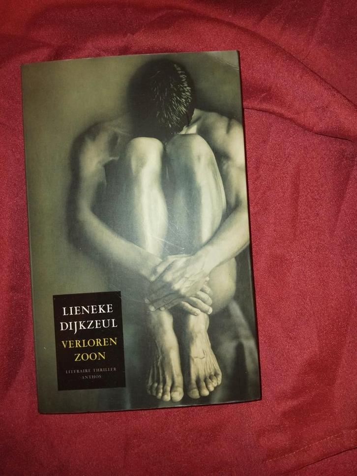 Verloren Zoon - Lieneke Dijkzeul, Boeken, Thrillers, Gelezen, Nederland, Ophalen of Verzenden