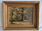 Schilderij olieverf op paneel "Bospad" v.d. Nat 1932 SCH20, Antiek en Kunst, Kunst | Schilderijen | Klassiek, Ophalen of Verzenden