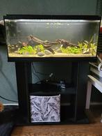 Aquarium met meubel te koop, Dieren en Toebehoren, Ophalen, Zo goed als nieuw, Leeg aquarium