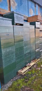 Belgische simplex spaarkast, Dieren en Toebehoren, Bijen