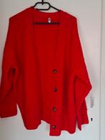 Hema vest maat xl, Kleding | Dames, Grote Maten, Ophalen of Verzenden, Zo goed als nieuw, Trui of Vest