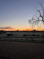 NIEUW! Woonruimte te huur Witte van Haemstedelaan, Haarlem, Huizen en Kamers, Huizen te huur