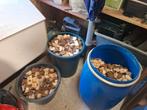 Veel tonnen gedroogd brood, Dieren en Toebehoren, Dierenvoeding, Ophalen, Vee