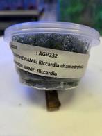 mos, Overige typen, Zoetwatervis