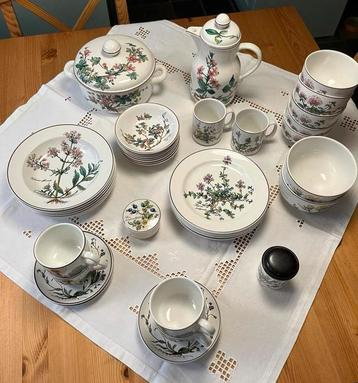 Serviesgoed Botanica van Villeroy & Boch beschikbaar voor biedingen