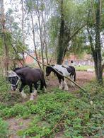natuurinclusieve huisvesting