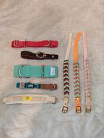 Diverse bijzondere halsbanden, Ophalen of Verzenden, Nieuw