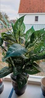Kunst/ faux kamerplanten 4x kunststof kamerplant, Ophalen of Verzenden, Halfschaduw, Minder dan 100 cm