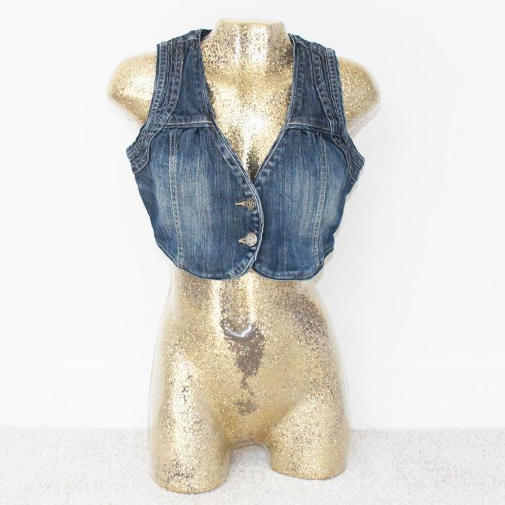 Revolution Spijker Hesje (Maat 38) - 28 € 20,-, Kleding | Dames, Truien en Vesten, Zo goed als nieuw, Maat 38/40 (M), Blauw, Ophalen of Verzenden