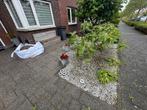 GRATIS kiezelsteentjes, Tuin en Terras, Grind, Keien en Split, Ophalen, Overige materialen