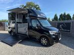 LUXE RENAULT PAARDENWAGEN 2020 ROELOFSEN AUTOMAAT STALLION
