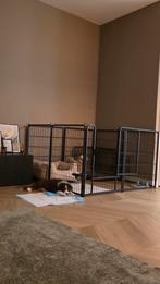 Puppy run, Ophalen of Verzenden, Nieuw