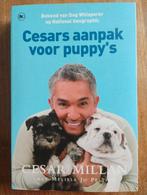 Cesar Millan - Cesars aanpak voor puppy's, Honden, Zo goed als nieuw, Cesar Millan, Ophalen of Verzenden