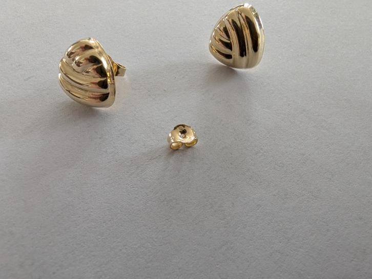 Gouden oorbellen 14 Karaat Schelp 10x10mm (Nieuw), Sieraden, Tassen en Uiterlijk, Oorbellen, Nieuw, Knopjes of Stekers, Goud, Goud