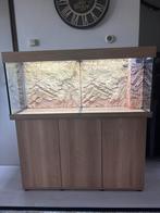 Juwel Rio 240 aquarium, Dieren en Toebehoren, Vissen | Aquaria en Toebehoren, Ophalen, Zo goed als nieuw, Leeg aquarium