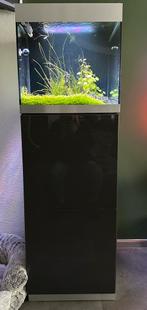 Oase highline 125 aquarium, Dieren en Toebehoren, Ophalen of Verzenden, Zo goed als nieuw, Leeg aquarium