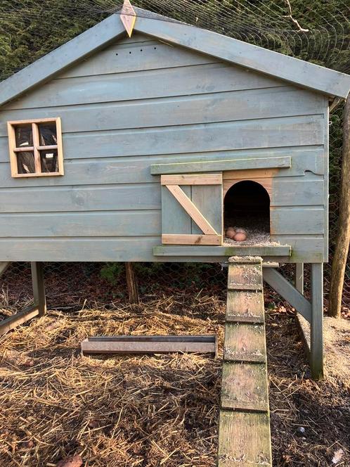 Kippenhok XL, Dieren en Toebehoren, Pluimvee | Toebehoren, Kippenhok of Kippenren, Ophalen