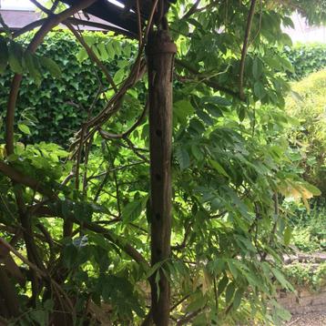 Dissel pen oud werktuig hout beschikbaar voor biedingen