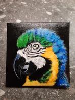 Mini schilderijtje Papegaai / Ara ( 10 x 10 cm. ), Ophalen, Minder dan 50 cm, Oorspronkelijke maker, Nieuw