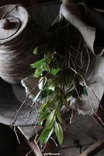 Toef met zijdetakken (olijf) en echte berkentakken, Www.jufbrocante.nl, Www.jufbrocante.nl, Nieuw, Ophalen of Verzenden