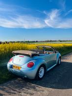 VW Windscherm Volkswagen New Beetle, Ophalen of Verzenden