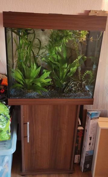 Aquarium Juwel Lido 120 beschikbaar voor biedingen