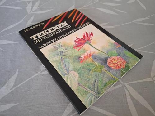 TEKENEN MET KLEURPOTLOOD - Bet Borgeson, Boeken, Hobby en Vrije tijd, Zo goed als nieuw, Tekenen en Schilderen, Ophalen of Verzenden