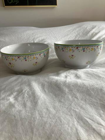 2 Schalen - Ideaal voor Pasta/Salade beschikbaar voor biedingen