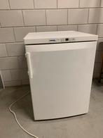 Liebherr GP 1456 Vrieskast Tafelmodel - Eco Super, Ophalen, Gebruikt, Minder dan 85 cm, 100 tot 150 liter