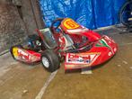Birel Kart met IAME 100cc Motor - Opknapper, Ophalen of Verzenden
