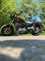 Harley-Davidson sportster iron 1200, Motoren, Motoren | Harley-Davidson, Particulier, 2 cilinders, Chopper