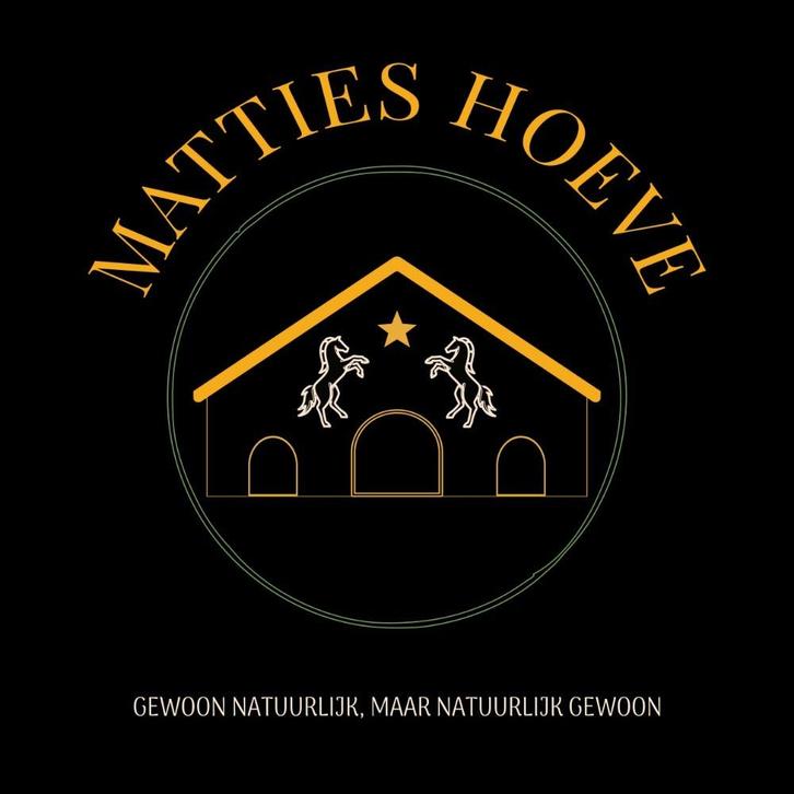 Kleinschalig 24/7 buiten paddock paradise heeft weer plek!!, Dieren en Toebehoren, Stalling en Weidegang, Stalling, Weidegang