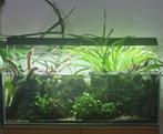 Aquarium, optic white, rimless, Dieren en Toebehoren, Vissen | Aquaria en Toebehoren, Ophalen, Gebruikt, Leeg aquarium