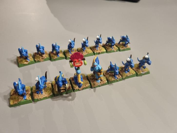 Skinks, Warhammer Age of Sigmar (AOS) Seraphon/Lizardmen, Hobby en Vrije tijd, Wargaming, Gebruikt, Warhammer, Figuurtje(s), Ophalen of Verzenden