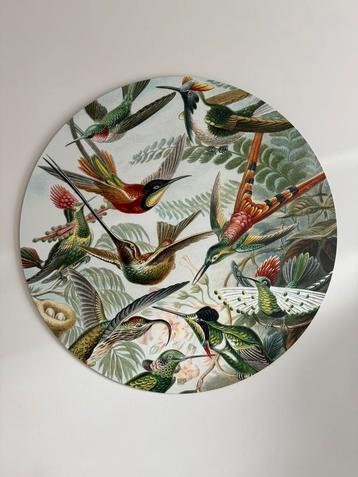 Wanddecoratie Kolibries Rond (80 cm)