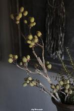Brynxz Alnus grande green, zijdetak, zijdebloem, dadeltak, Nieuw, Ophalen of Verzenden, Info@jufbrocante.nl, Juf Brocante