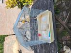 Vogelkooi 10.00 euro, Dieren en Toebehoren, Ophalen of Verzenden, Gebruikt, Metaal, Vogelkooi